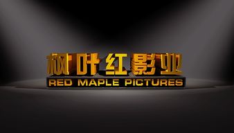 四川枫叶红影业是一家集数字电影摄制 TV电视节目录制 纪录专题片摄制 TVC电视广告